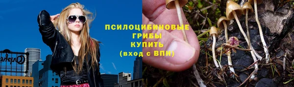 прущие грибы Алзамай