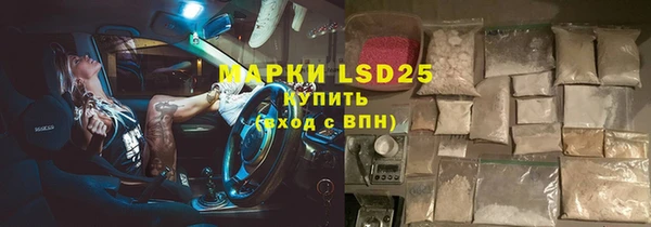 прущие грибы Алзамай
