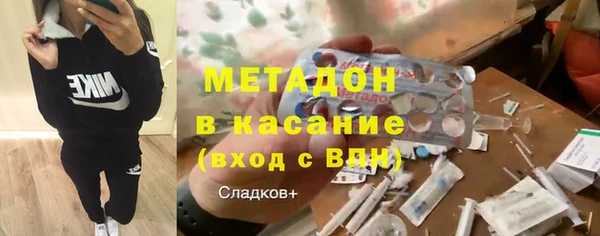 прущие грибы Алзамай