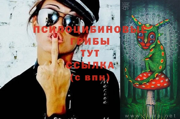прущие грибы Алзамай