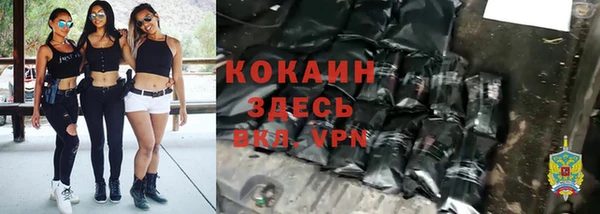 прущие грибы Алзамай