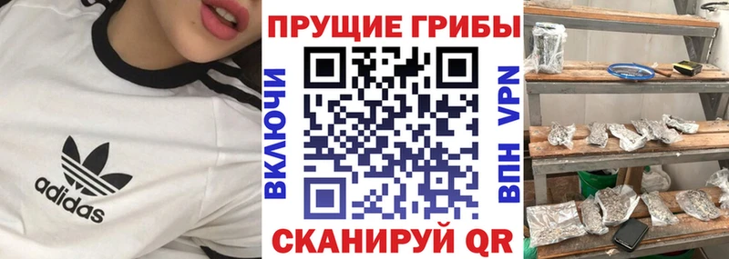 цены наркотик  Билибино  Псилоцибиновые грибы мухоморы 